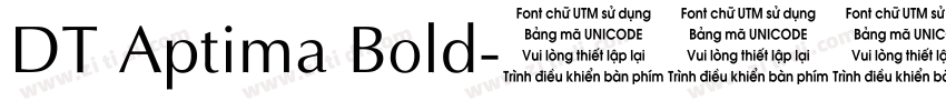 DT Aptima Bold字体转换